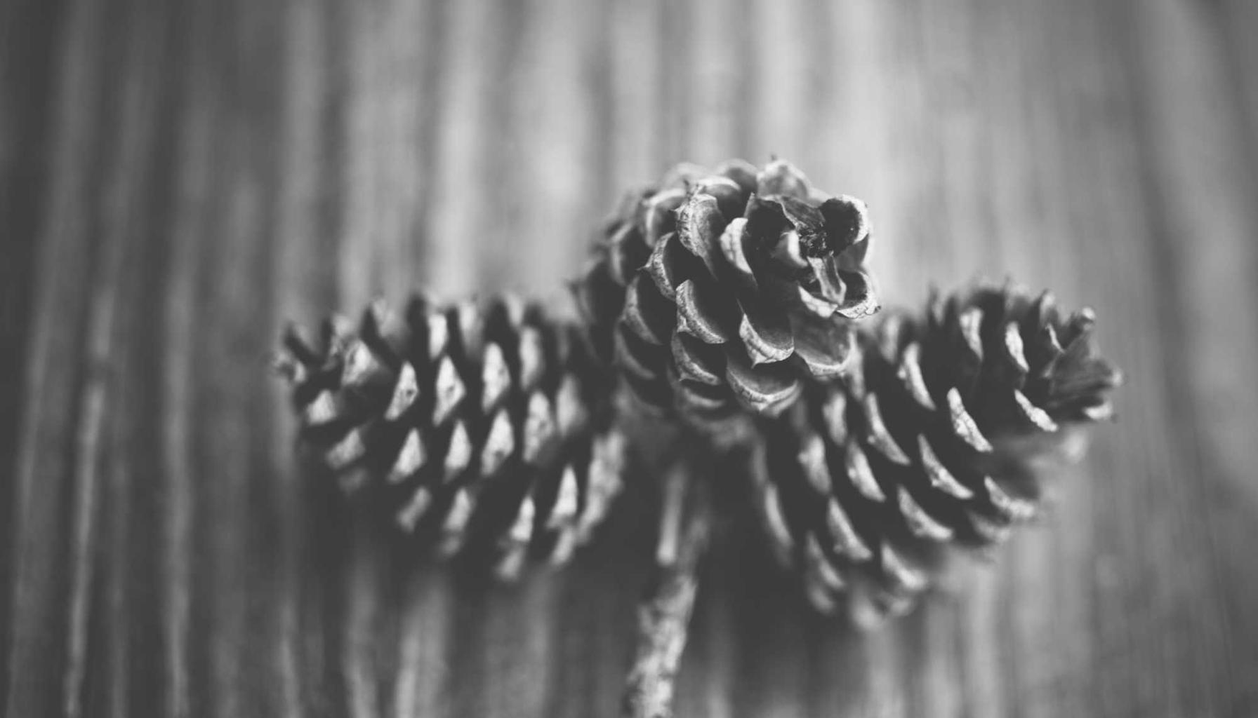 Show HN: I'm building an AI tool that turns Design Systems into React components