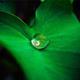 Linux 6.14 Networking Brings Many Wired and Wireless Driver Improvements